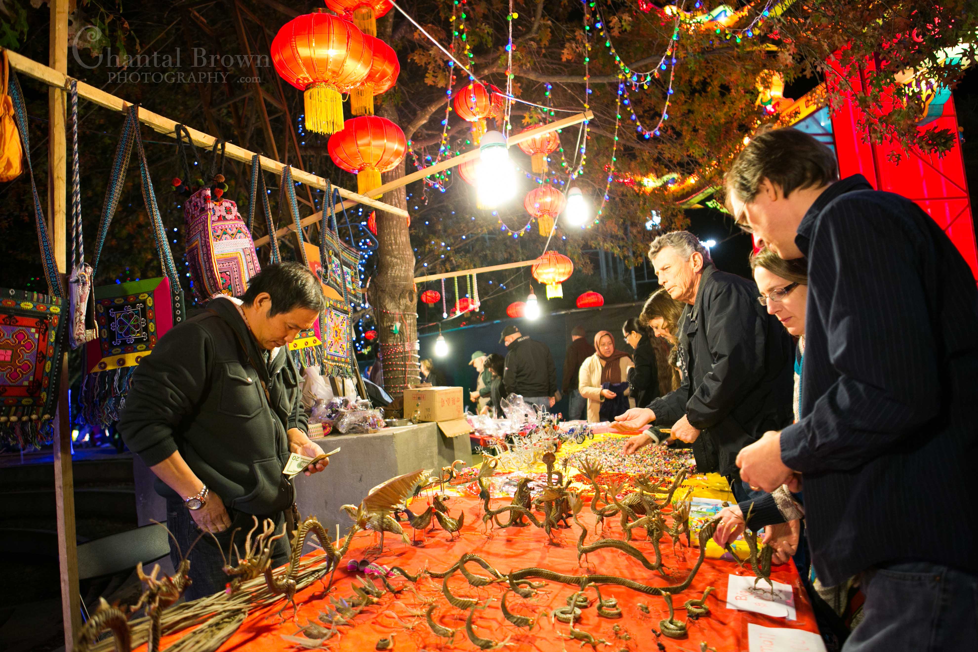 Dragon bamboo gifts Colorful lights at Chinese Lantern Festival in Dallas Fair Park Photographer
